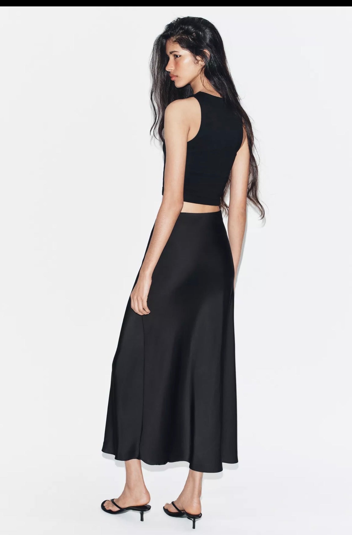 Zara sliky skirt