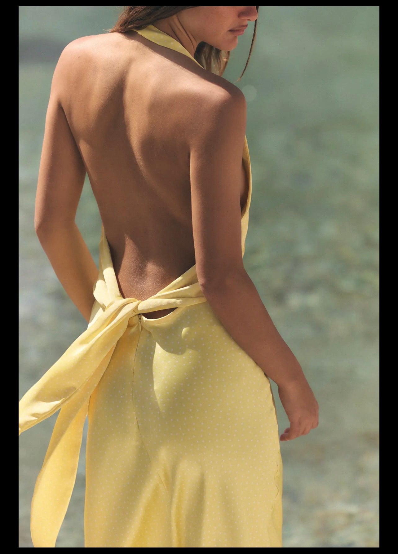 Zara premium dress